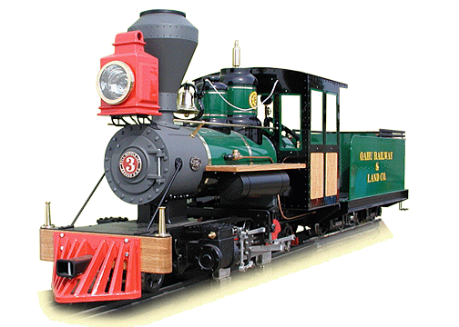 Narrow Gauge Steam Locomotive